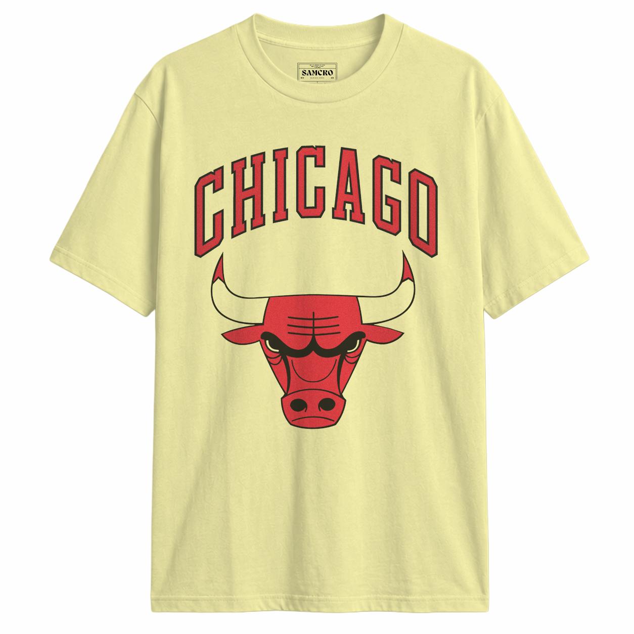 Chicago Bulls 1