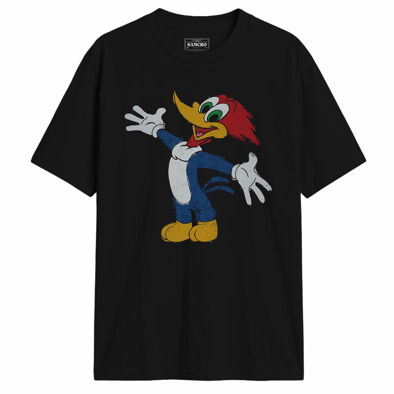 El Pajaro Loco 11