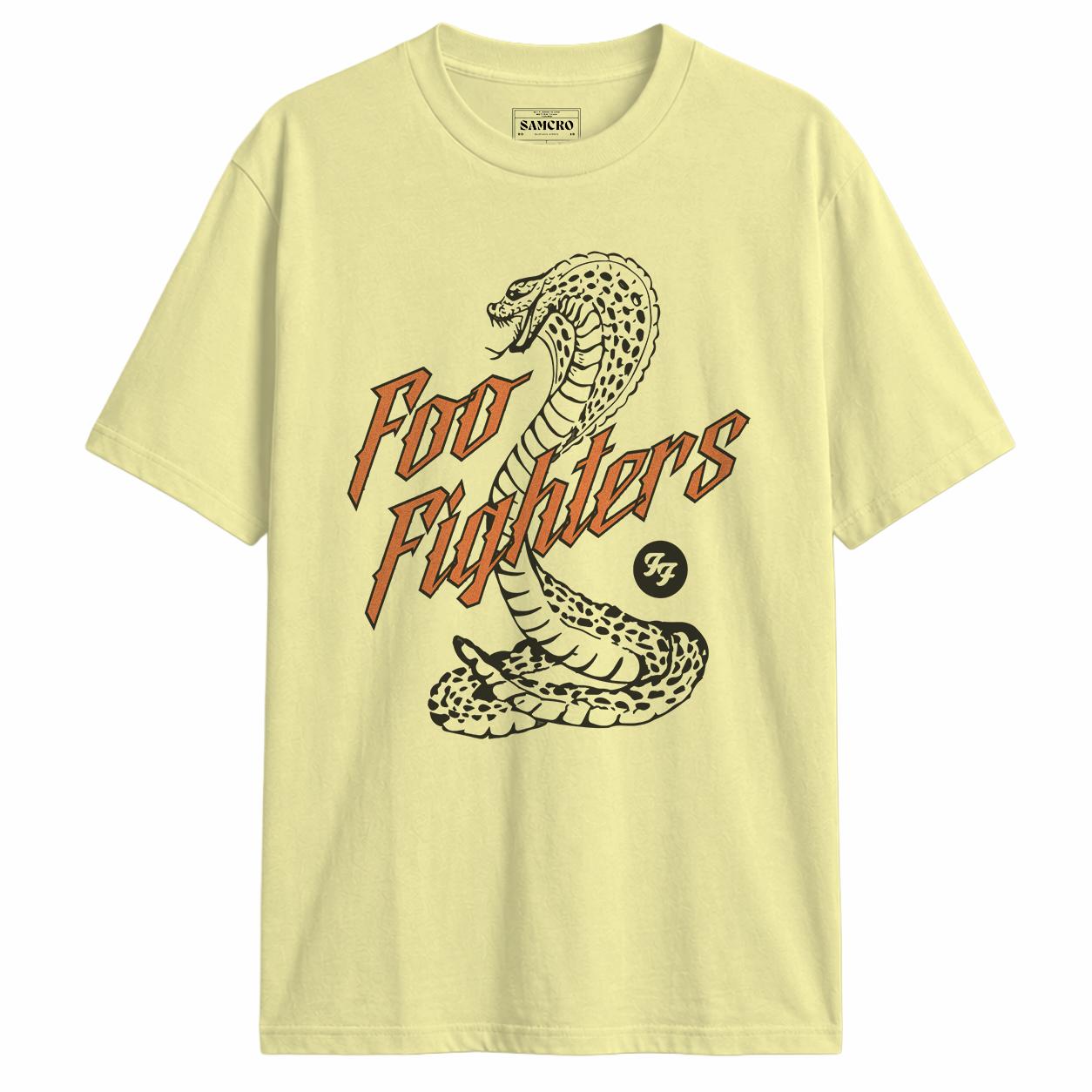 Foo Fighters 17