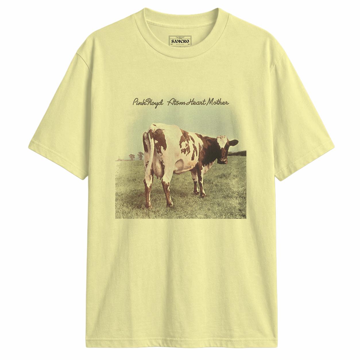 Pink Floyd 20
