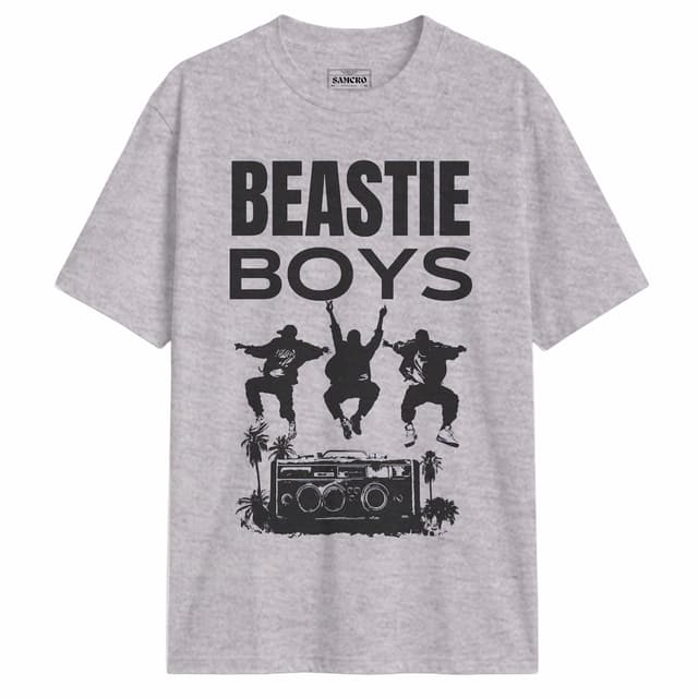 Beastie Boys - Biography Three Misfits — Gris