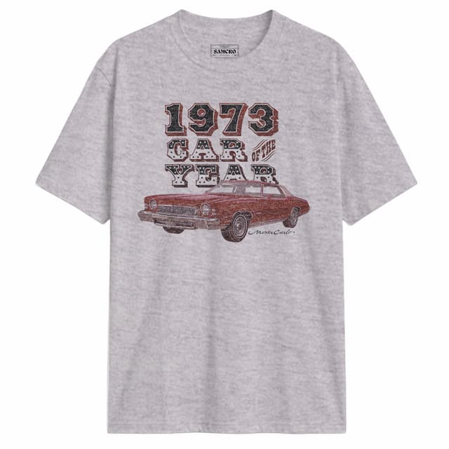 Chevrolet 22 — Gris