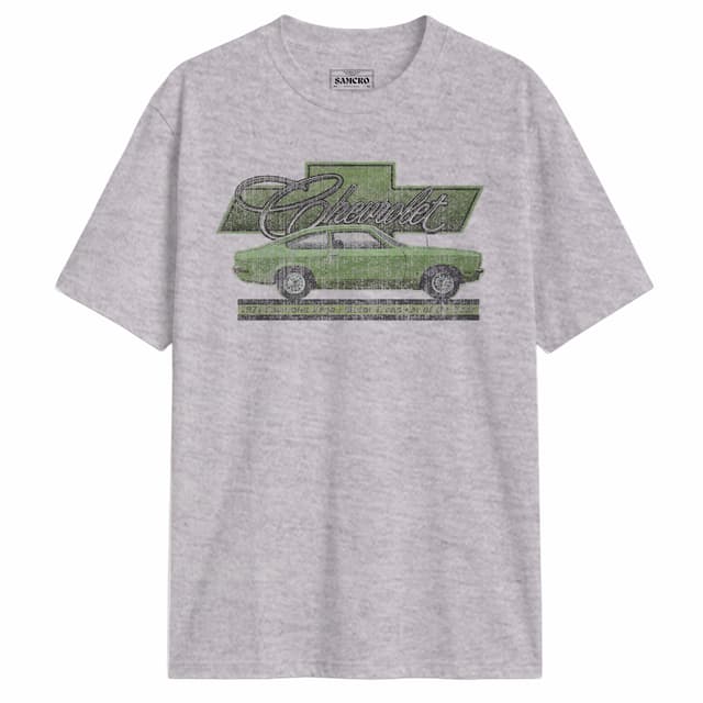 Chevrolet 24 — Gris
