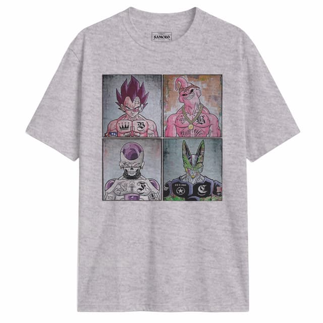 Dragon Ball 13 — Gris