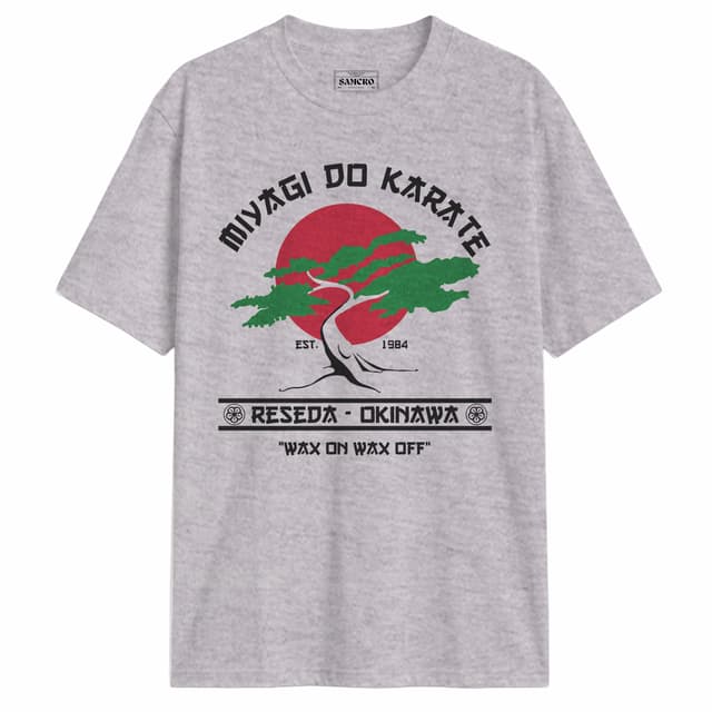 Karate Kid 4 — Gris